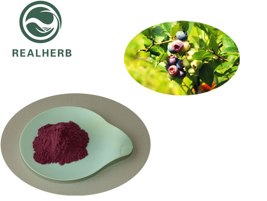 European Bilberry Extract Buy European Bilberry Extract