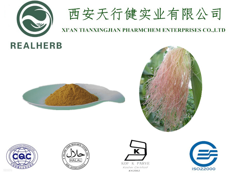 Corn Silk Extract from China manufacturer TIANXINGJIAN PHARMCHEM
